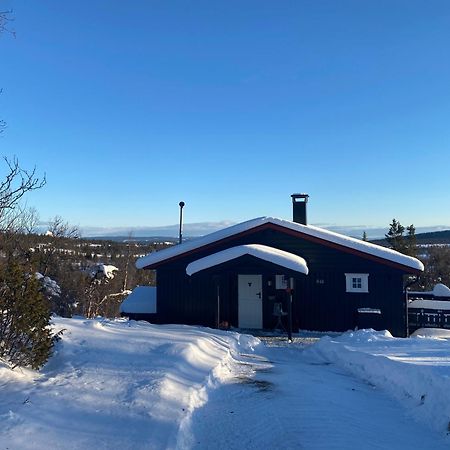 Cabin In The Mountain, Outstanding View & Solar Energy Vollen Buitenkant foto