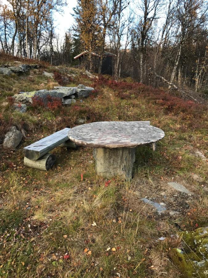 Cabin In The Mountain, Outstanding View & Solar Energy Vollen Buitenkant foto