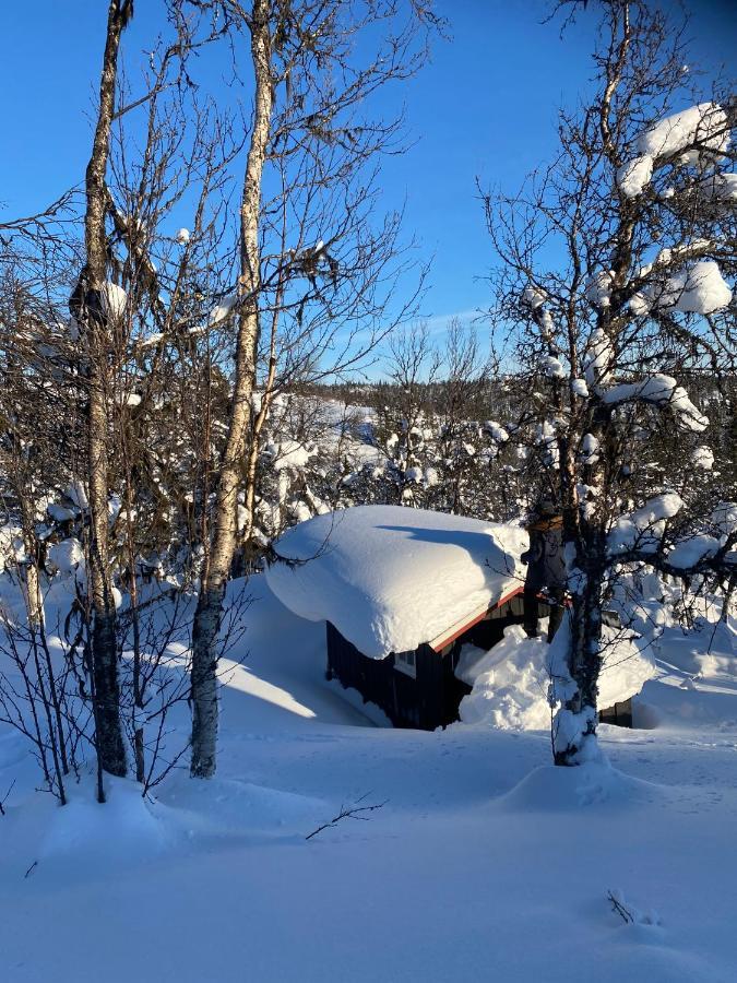 Cabin In The Mountain, Outstanding View & Solar Energy Vollen Buitenkant foto