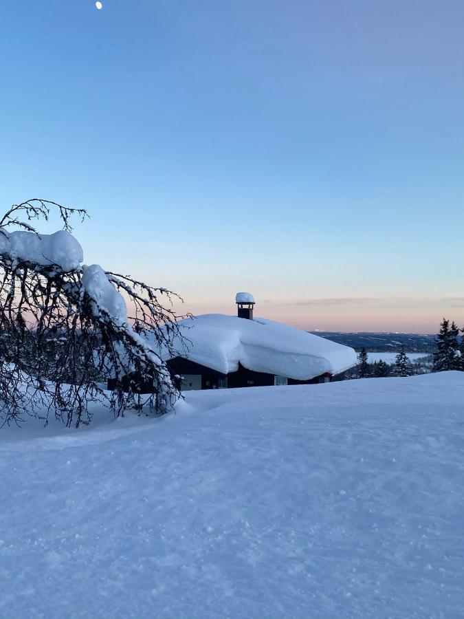 Cabin In The Mountain, Outstanding View & Solar Energy Vollen Buitenkant foto