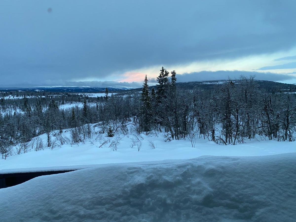 Cabin In The Mountain, Outstanding View & Solar Energy Vollen Buitenkant foto