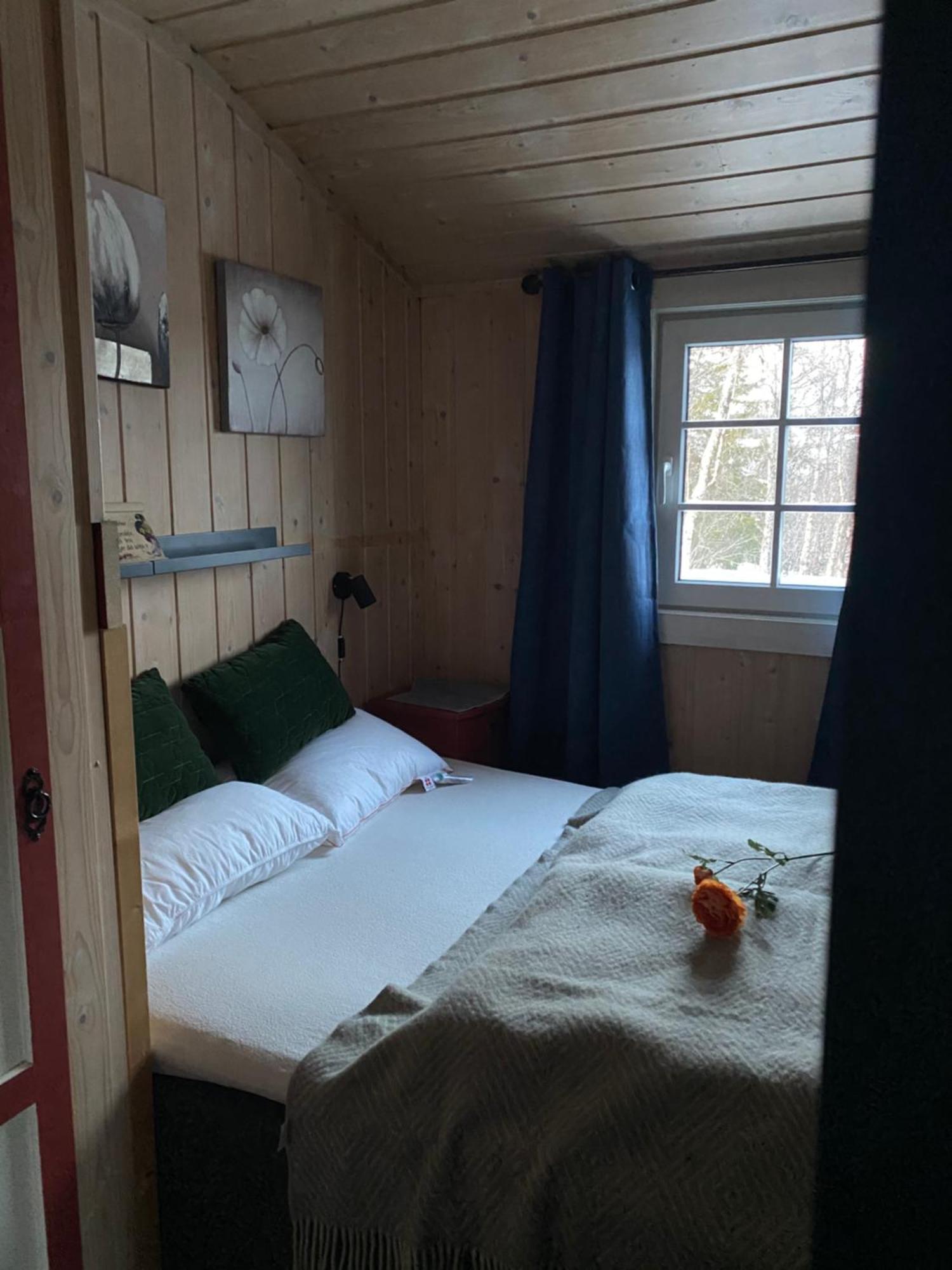 Cabin In The Mountain, Outstanding View & Solar Energy Vollen Buitenkant foto